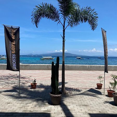 Papa Freds Beach Resort Puerto Galera Ngoại thất bức ảnh