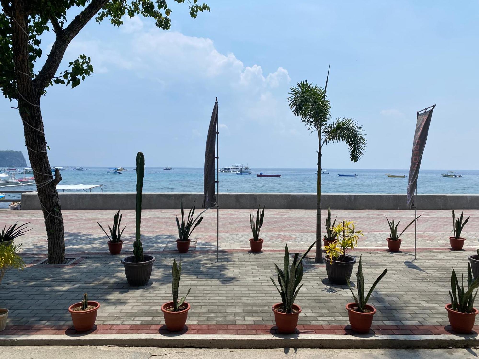 Papa Freds Beach Resort Puerto Galera Ngoại thất bức ảnh