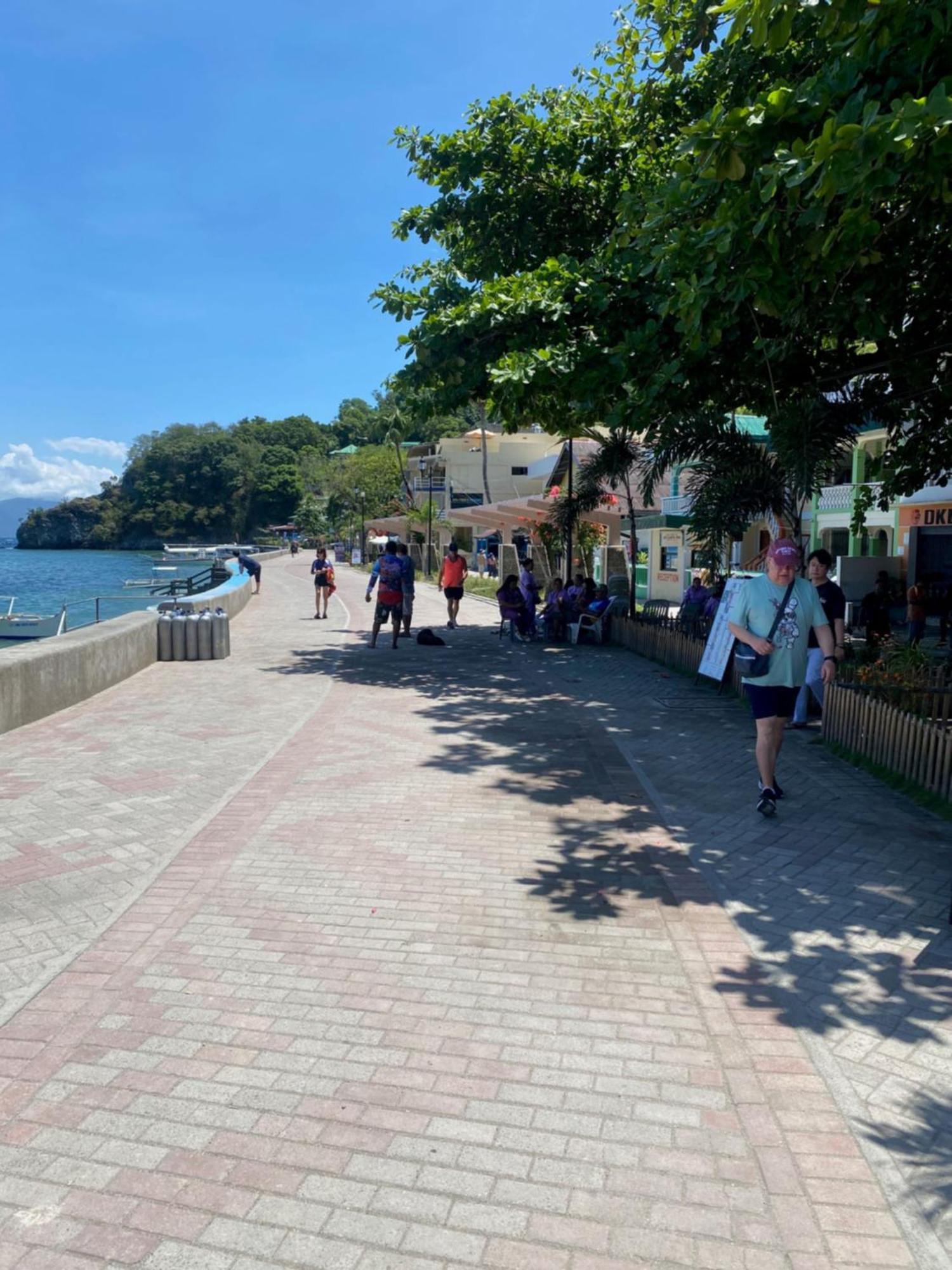 Papa Freds Beach Resort Puerto Galera Ngoại thất bức ảnh